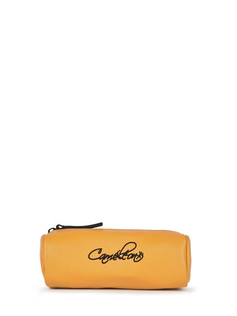 Caméléon VIW-STRO - POLYURÉTHANE - YELLOW trousse vintage north 1 cpt trousses